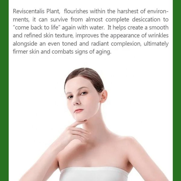 OEM Face Care Face & Body Mask OBM Skincare Custom Hyaluronic Face Masks Set Commercial Use Antioxidant Moisturizing Whitening