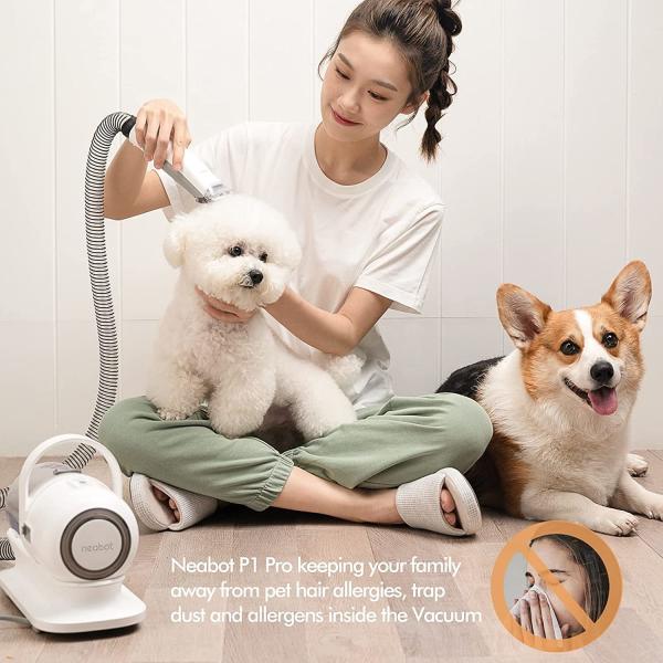 Potente kit de remoção de pelos de animais de estimação com tamanho 290 * 132 * 210MM e bateria recarregável