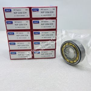 Cylindrical Roller Bearing