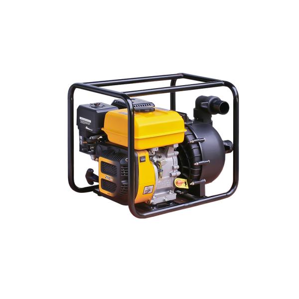 Single Cylinder Sewage Pumps for Agricultural Irrigation and Sewage Treatment in 220v