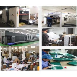 Senior Pack-Tech Shanghai Ltd.