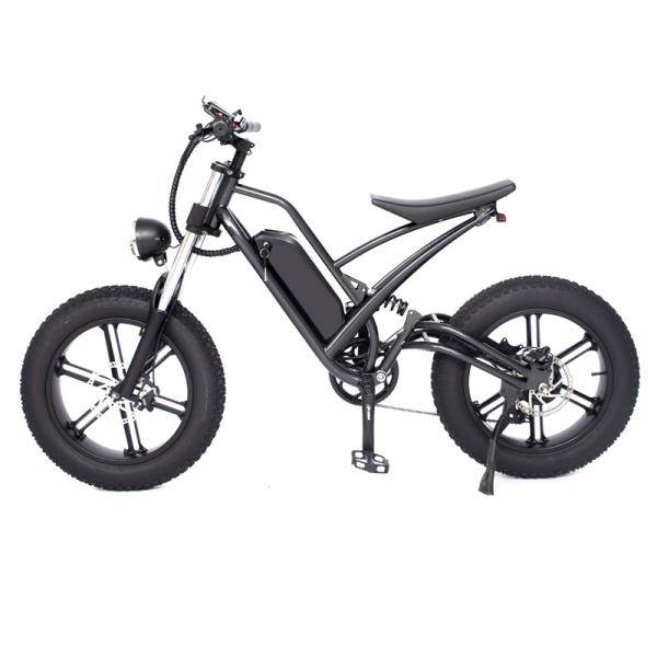 Mountain Ebike Lithium Battery High Speed Dirt Bike E Bike Motorcycle Off-Road Tyre