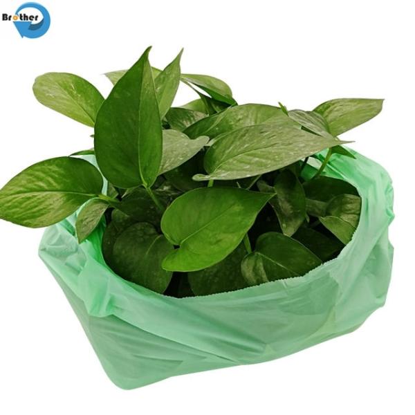 Plastic Free Extra Thick Eco Friendly Leakproof Compostable Dog Poo Bags on Roll