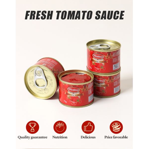 OEM Brand 2200g +70g Canned Tomato Paste 6 Tins Each Organic for Cooking