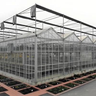 Strong Structure Galvanized Venlo Type Greenhouse Commerical Green House