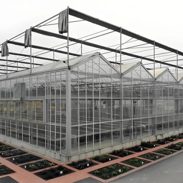 Venlo Glass Greenhouse for Lettuce Hydroponics Stable Structure