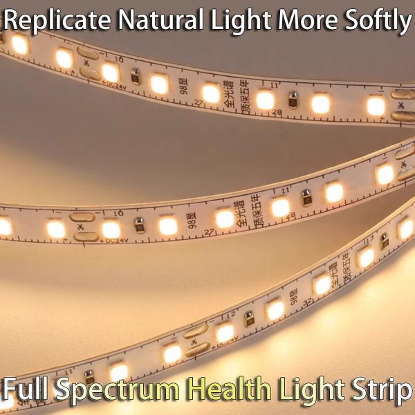 Гибкая световая полоса 24В / 36В Внешнее водонепроницаемое украшение Атмосфера Яркое освещение