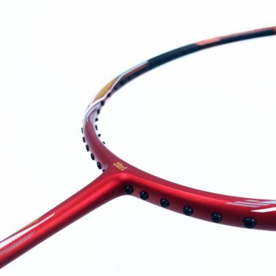 Shuttlecock Carbon Fiber Badminton Racket Light Badminton Racket D8 Dmantis