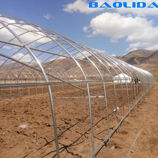 Agricultural Plastic Film Covering Shed Single Span 8m Width Polyethylene Film Greenhouse
