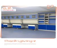 Durable Lab Wall Benches With Customizable Options And Powder Coating