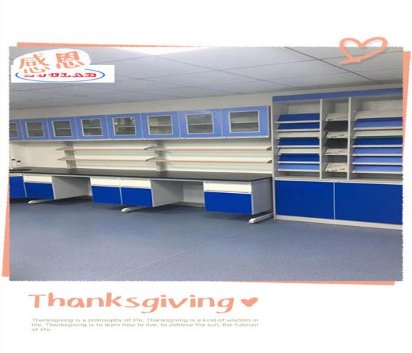Durable Lab Wall Benches With Customizable Options And Powder Coating