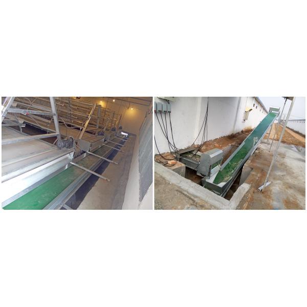 Машина птицефермы Zn-Al очищая, оборудование птицы 380V 3Phase коммерчески