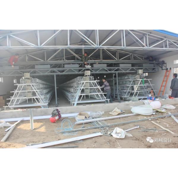 Цыпленок птицы цыплят курятника 160 класть яйца арретирует для животного фидера