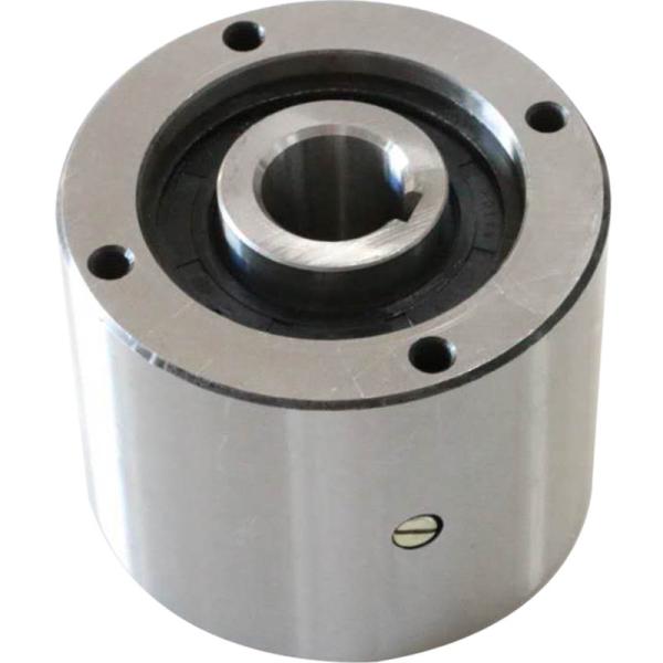 one way clutch cam clutch MG500/MI500 mechanical clutch Indexing clutch