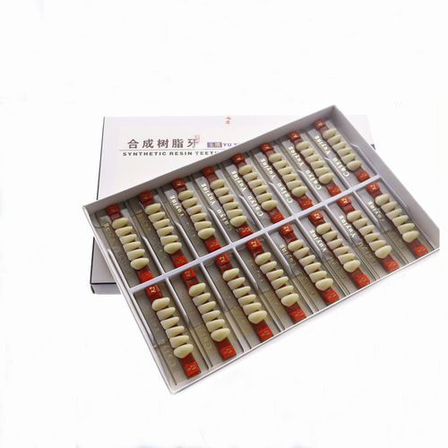 High Durability Acrylic Resin Composite Dental Teeth