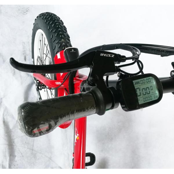1000W 48V 21AH 7 Speed Disc Brake 20