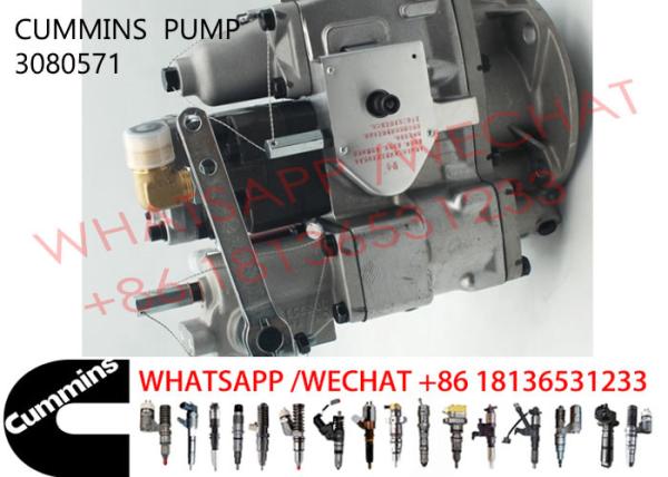 3080571 Cummins KTA19-C600 Diesel Engine Fuel Pump 3655884 4913582 3076130