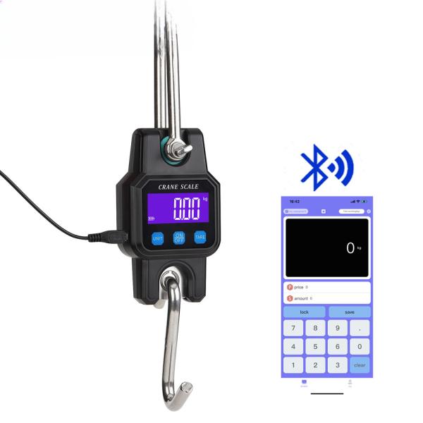 L'alimentation électrique Batterie au lithium WeiHeng WH-C06 300 kg USB rechargeable Bluetooth Digital Crane Balance ABS Plastique Tare certifié