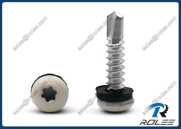 410 Stainless Painted Torx Pan Head Self Drilling Screws with Neoprene Washer