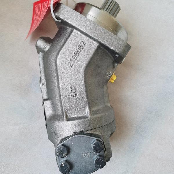 B220301000049 Concrete Pump Parts Plunger Pump A2F032/61L AB05