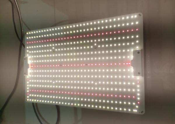 Alta Eficiência LED Grow Light 200W Quântico 480*300*75mm