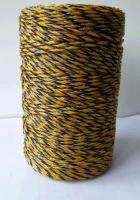 Corde électrique de W40mm poly