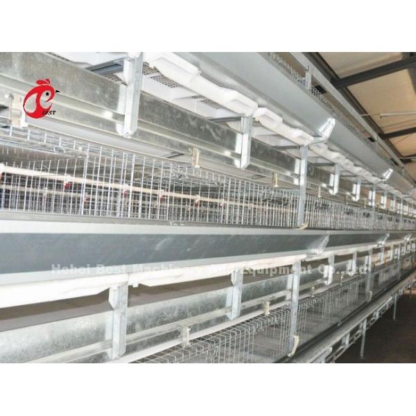 Système de cage de poulet à viande de type A ou H stable, cage de poulet entièrement automatique