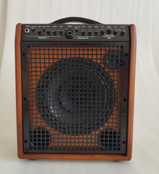 8 Dual Twin Channels AERs Style Acoustic Guitar Amplifier 60W