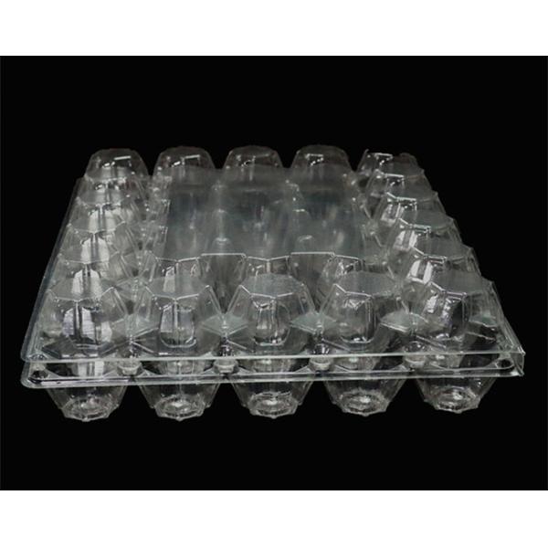 5X6 Disposable Plastic Egg Tray 30 Holes Transparent Egg Tray Plastic