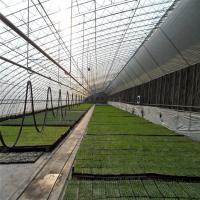 Estufa do período do túnel solar passivo da edredão única para a área fria