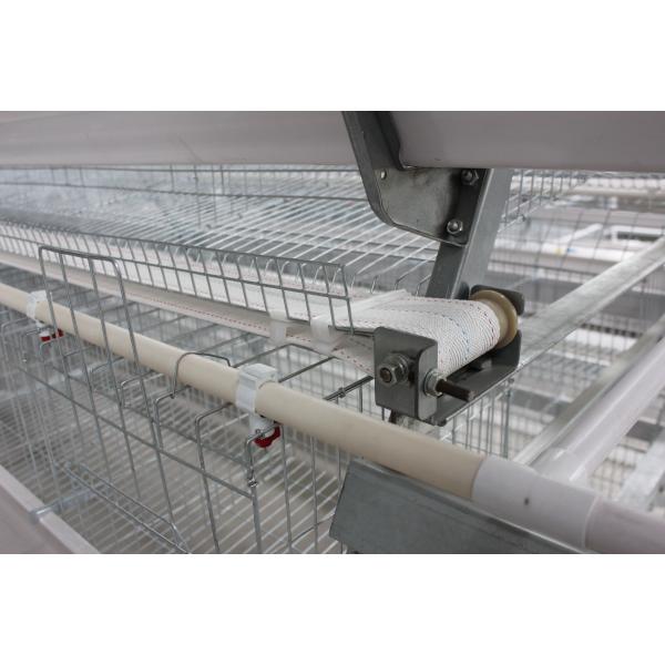 Full Automatic Laying Chicken Cages Egg Layer Cage For Africa Poultry Hens Farms