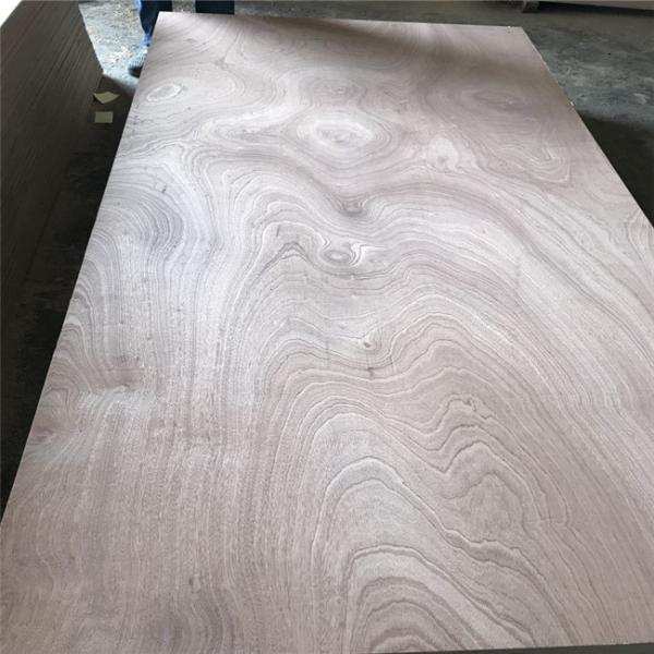 Wood Grain Sapele Face Sapele Faced Plywood For Commercial