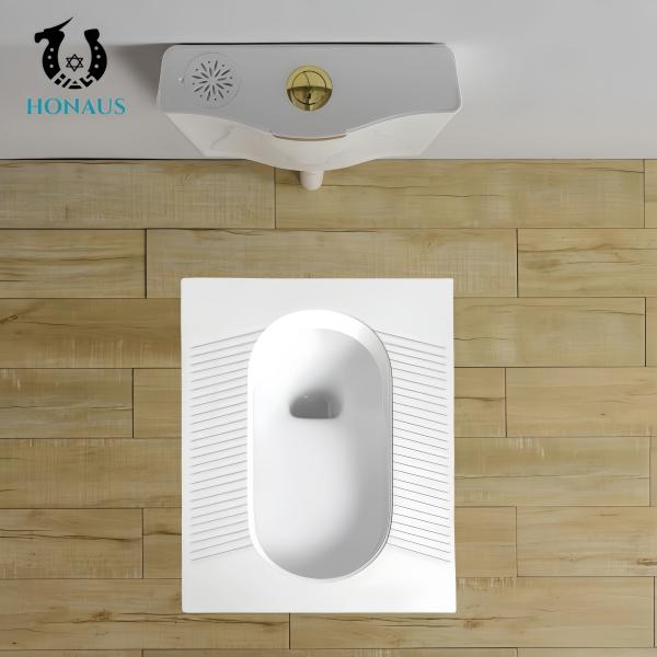 ODM 390mm Pit Distance Squatting Pan Toilet for Project Building