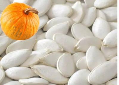 Original Flavor Roasted Seeds And Nuts Snow White Pumpkin Seeds 99% Purity