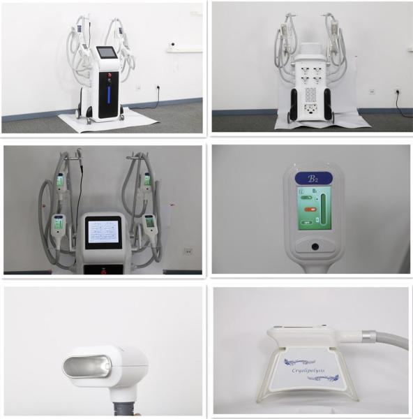 2018 latest Cryolipolysi Cool Shape machine Fat loss Cryolipolysis fat freezing machine Germany