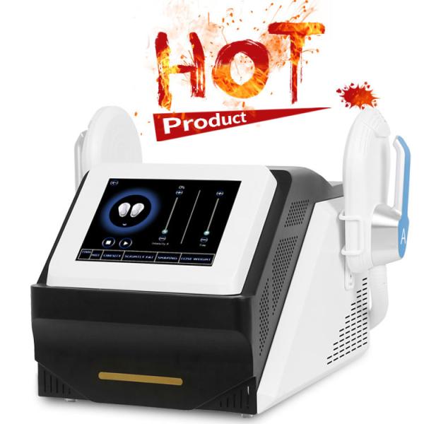 Portable Touch Screen Em Body Sculpting Machine For Weight Loss