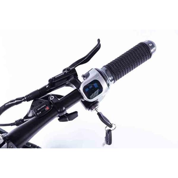 48V 350W Electric Snow Bike , Electric Mountain Bike Mtb Aluminum Alloy Frame