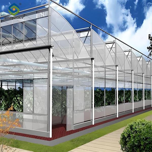 OEM Gothic High Tunnel Greenhouse For Planting Tomato Strawberry Lettuce