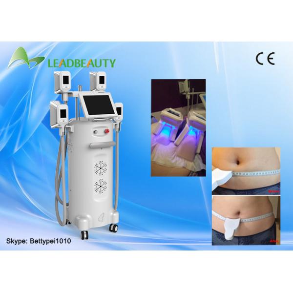 0kPa-100kPa cryolipolysis apparatus and weight loss machine cryo lipolysis