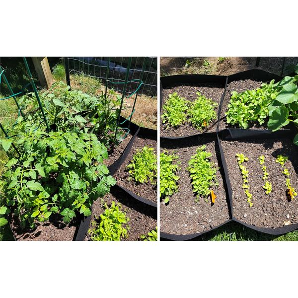 Fabric Raised Garden Bed 6x3x1ft Garden Grow Bed Bags for Growing Herbs, Flowers and Vegetables 128 Gallon