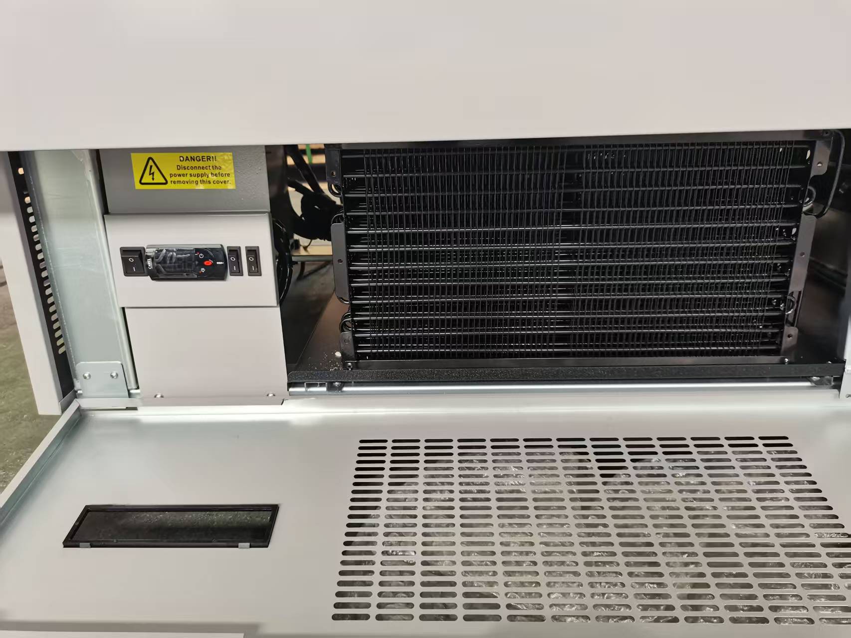 Dual-temperature Display Refrigerator with Auto Defrost and Eco-friendly R290 Refrigerant
