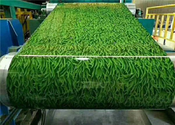 OEM Customized 0.12-2.0mm ASTM/GB/JIS/EN Standard PPGI/PPGL Prepainted Galvanized Steel Coil