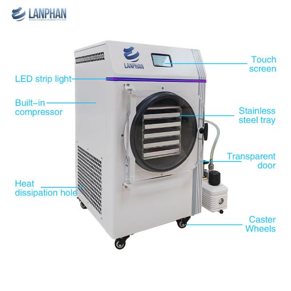 Food Vacuum Home Freeze Drying Machine Freezer Dryer Lyophilizer for 6 Kg