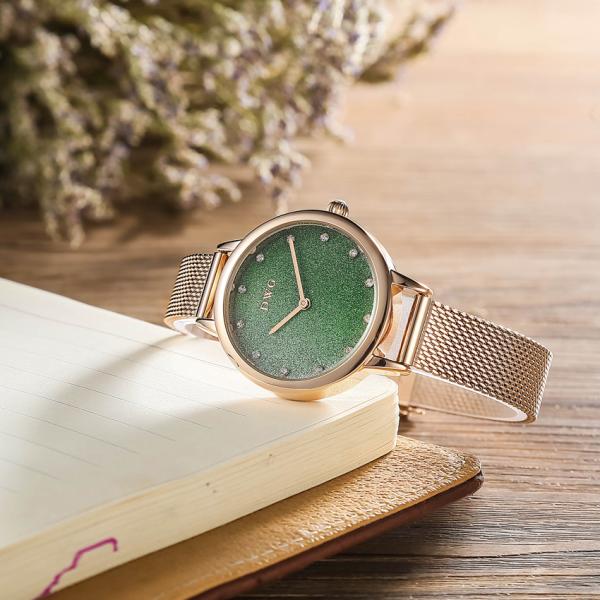 Кварц верхнего сегмента стальной полосы наблюдает дам с звездной шкалой неба и ремнем сетки