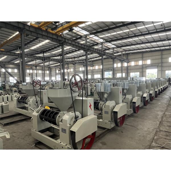 Automatic Control Cold Press Oil Extraction Machine Commercial Cold Oil Press Machine