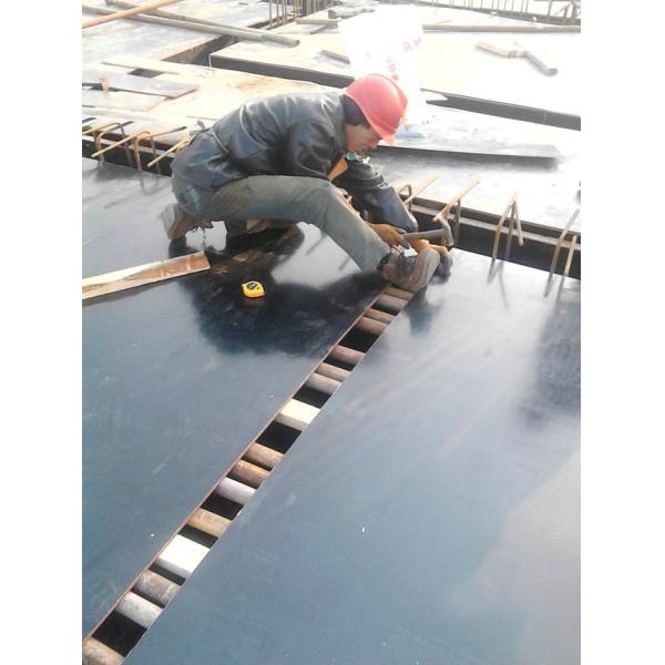 high quality phenolic film faced plywood for construction