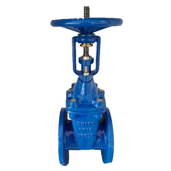 dn100 150 DI WCB Stainless Steel DIN F4 F5 Resilient Seated non-rising Stem Gate Valve pn16 DN800 900