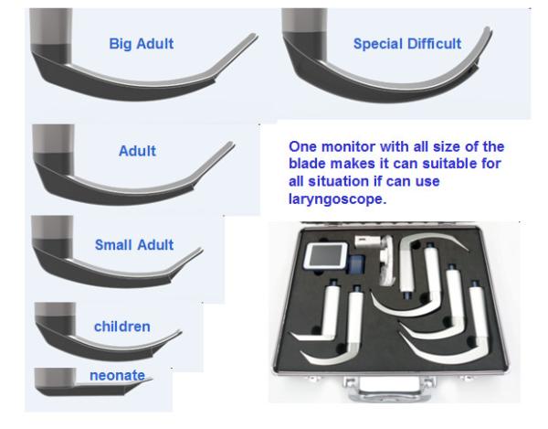 Veterinary use flexible endoscope Fiber Optic Anesthesia video laryngoscopy difficult airway pediatric neonate
