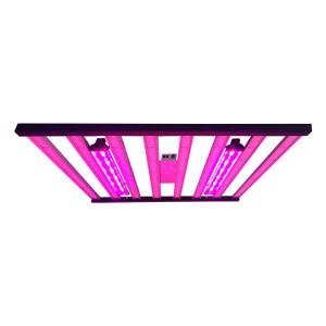 l'horticulture de 800W 8Bars Osram 660nm élèvent des lumières pour le jardin de