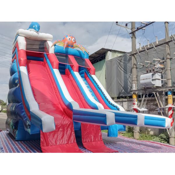 Commercial Outdoor Géant gonflable toboggan à eau Delfine Poulpe dessin animé gonflable double toboggan pour enfants et adultes